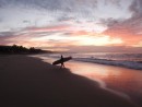 Austrálie cestování Noosa Beach