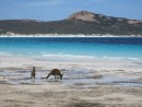 Austrálie cestování Near Esperance