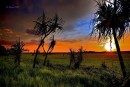 Austrálie cestování Kakadu Northern Territory