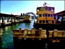 Austrálie cestování Circular Quay