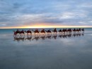 Austrálie cestování Cable Beach 