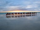 Austrálie cestování Cable Beach 