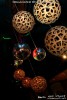 CSPartyXmas2010_110