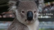 Fakta o studiu v Austrálii